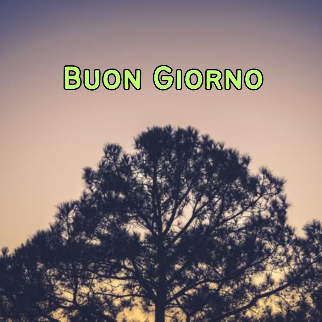 buona giornata immagini nuove