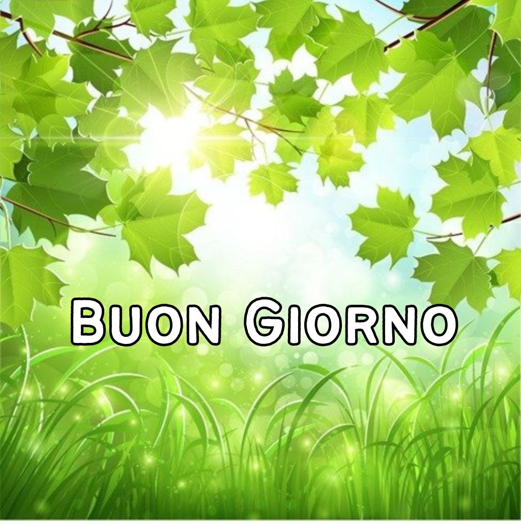 buon giorno martedi immagini nuove 