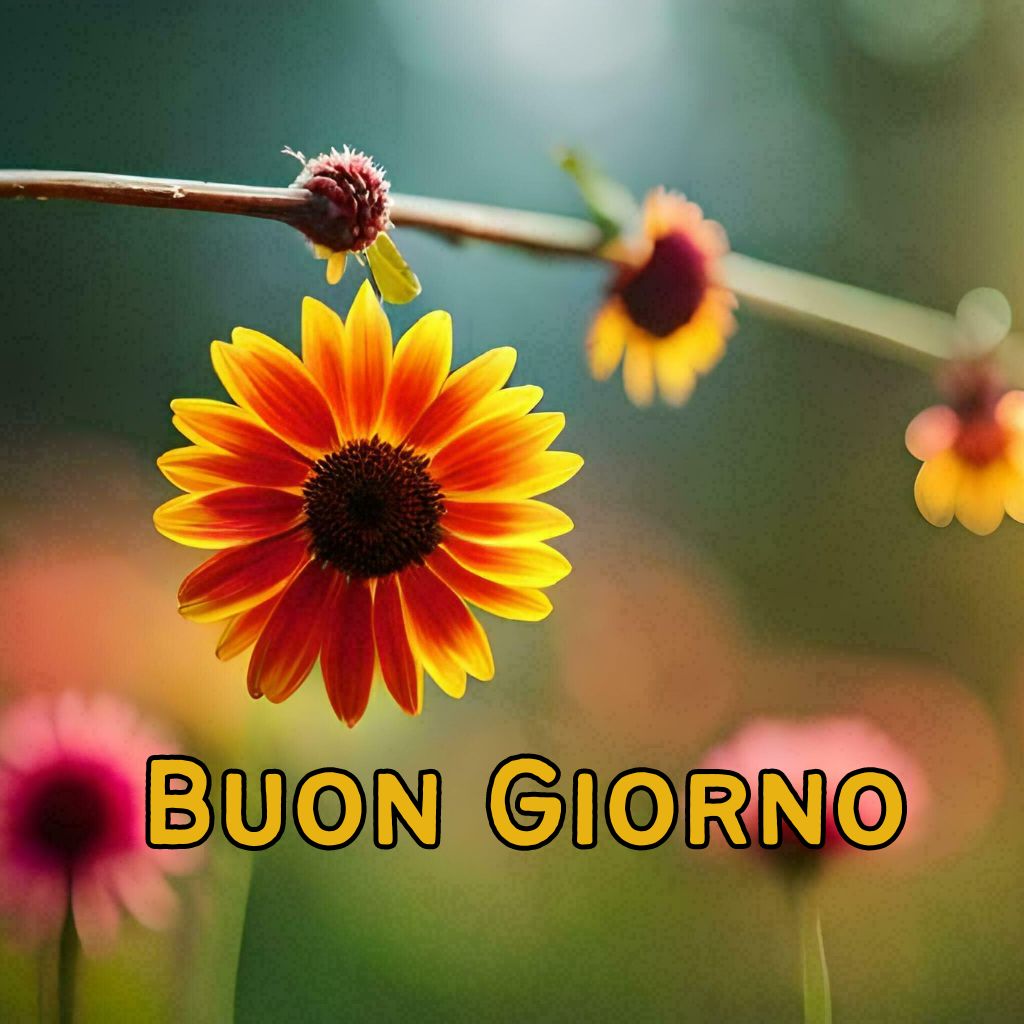 buongiorno e buona giornata immagini nuove 