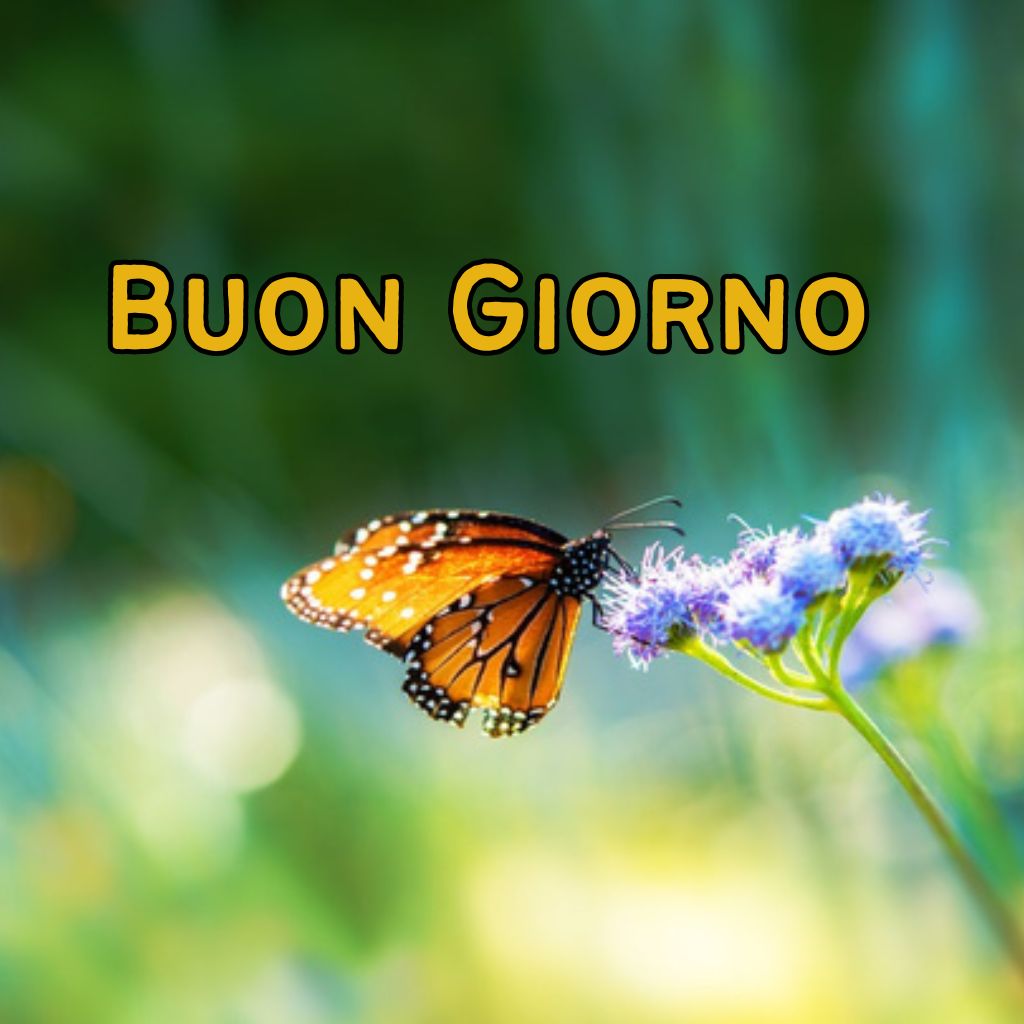 immagini buona giornata nuove 