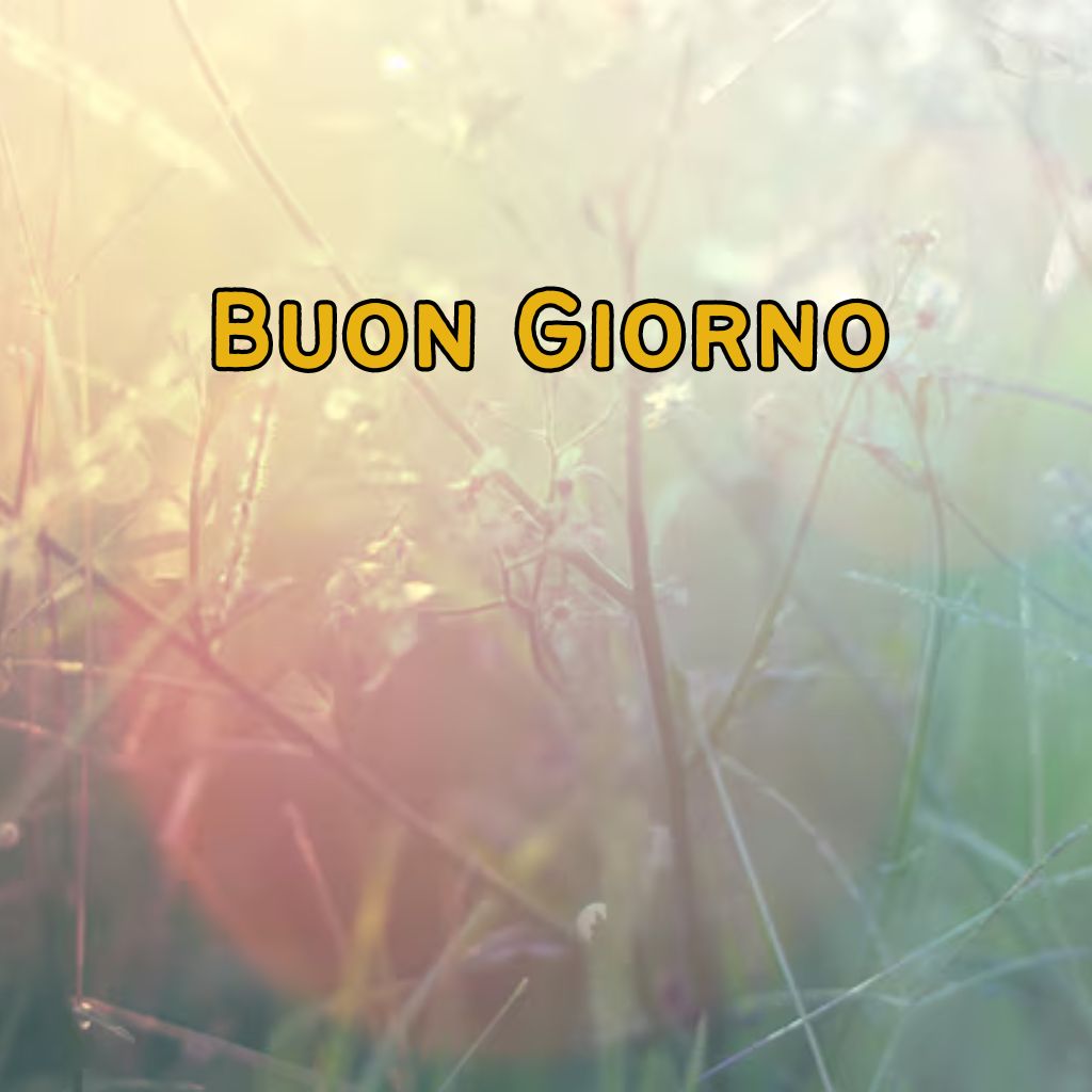 buon giorno buona domenica immagini nuove