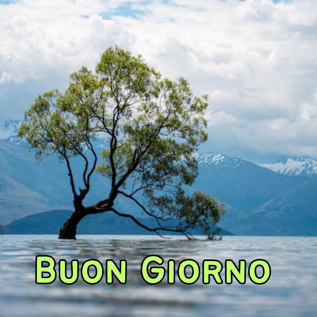 immagine buona giornata nuove