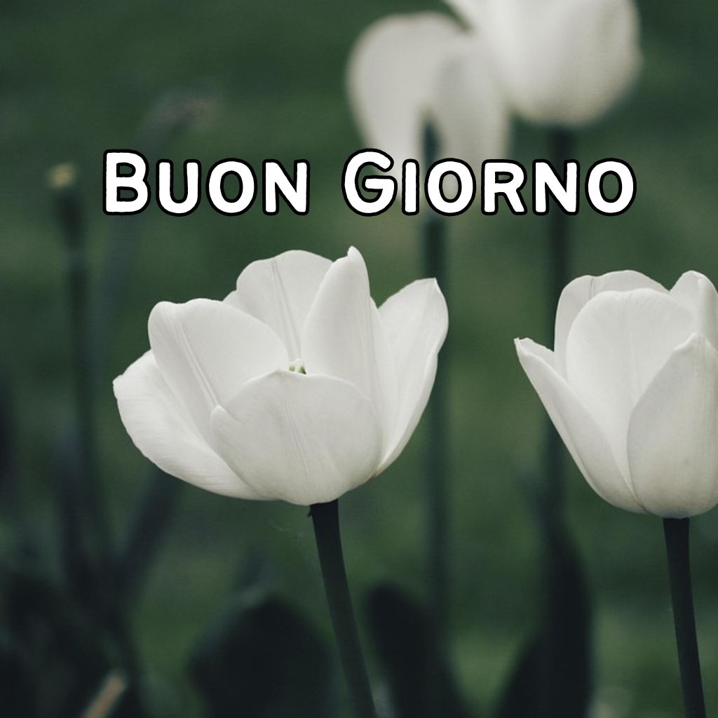 immagini di buona giornata nuove 