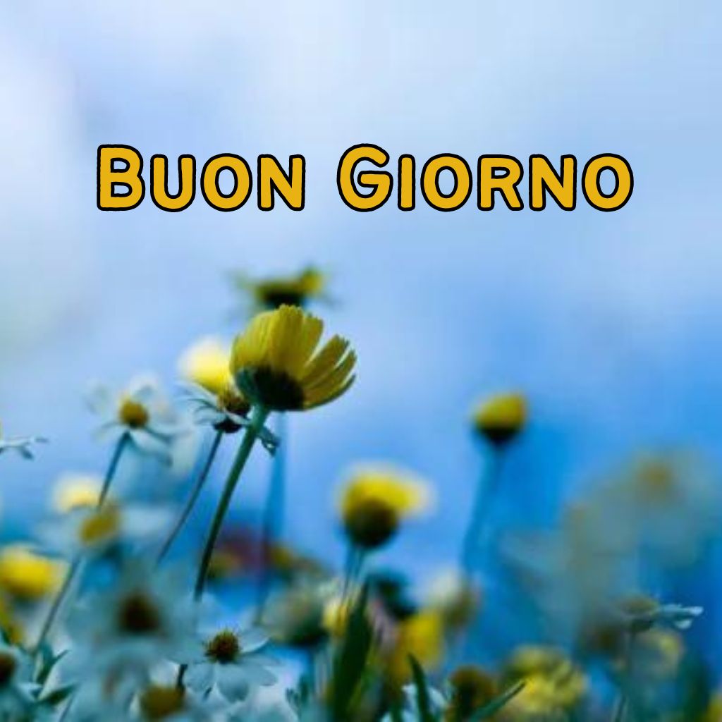 immagini buon giorno nuove 