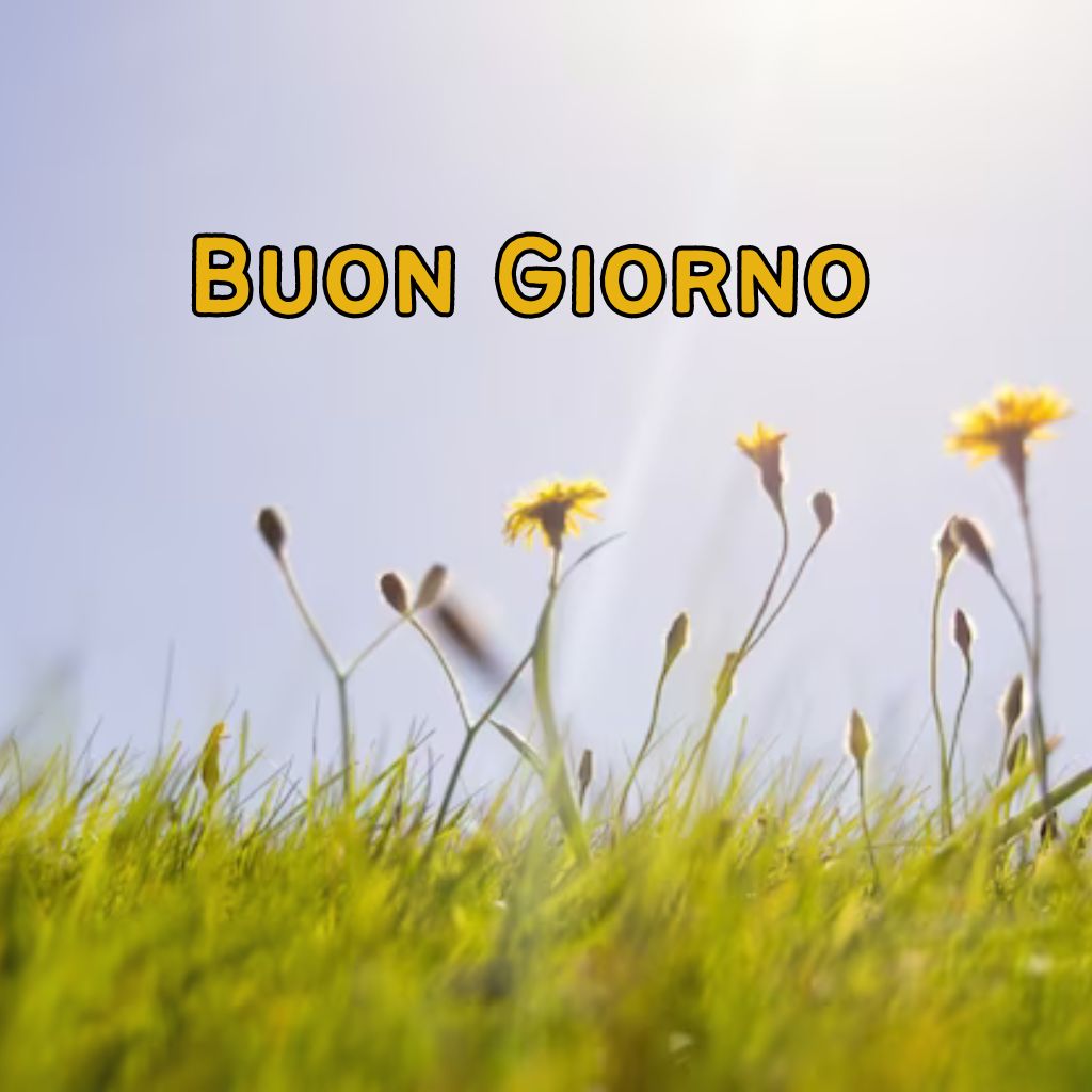 buona giornata a te immagini nuove 