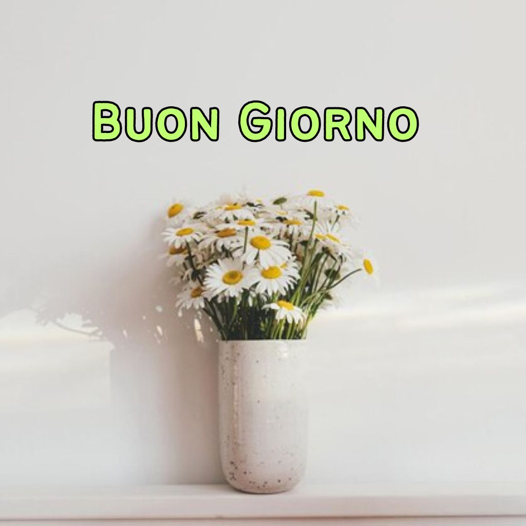 buongiorno o buona giornata immagini nuove 